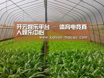 种植基地四