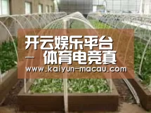 环境展示五