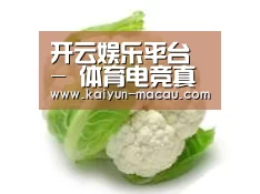 产品名称九