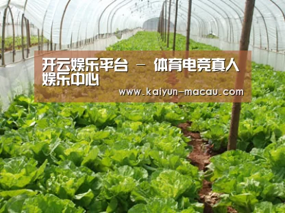 种植基地五