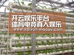 环境展示六