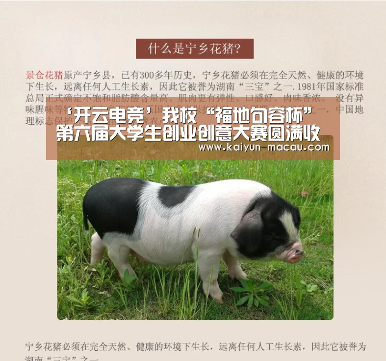 ‘开云电竞’我校“福地句容杯” 第六届大学生创业创意大赛圆满收官(图2) 开云竞猜