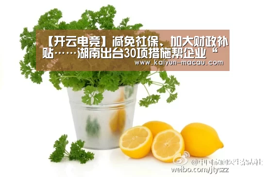 开云电竞