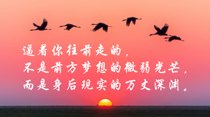开云电竞
