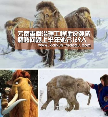 开云电竞