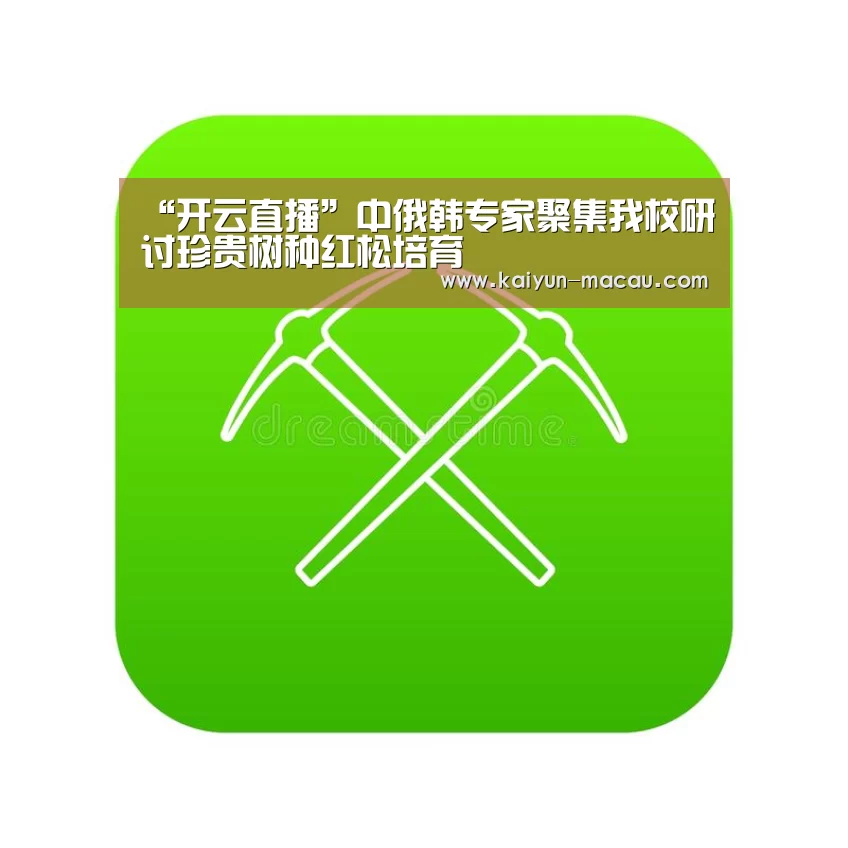 开云赛事