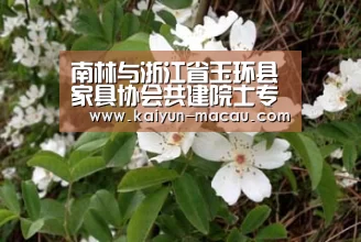 南林与浙江省玉环县家具协会共建院士专家工作站“开云直播”(图1) 开云赛事