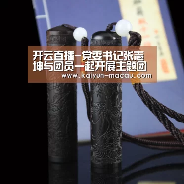 开云直播-党委书记张志坤与团员一起开展主题团日活动(图4) 开云直播