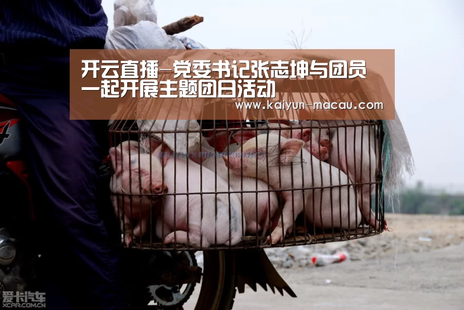 开云直播-党委书记张志坤与团员一起开展主题团日活动(图3) 开云直播
